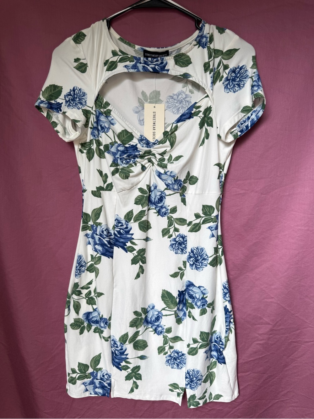 Streetwear Society Floral Dress Size M NWT
